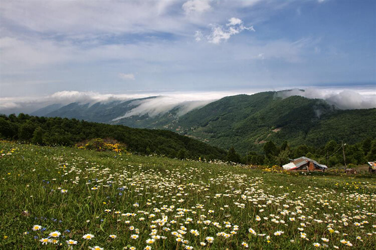Kocadağ Kamp Alanı