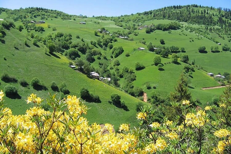 Lapazan Yaylası Kamp Alanı