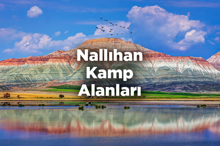 Nallıhan Kamp Alanları