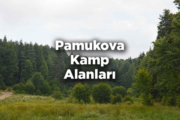 Pamukova Kamp Alanları
