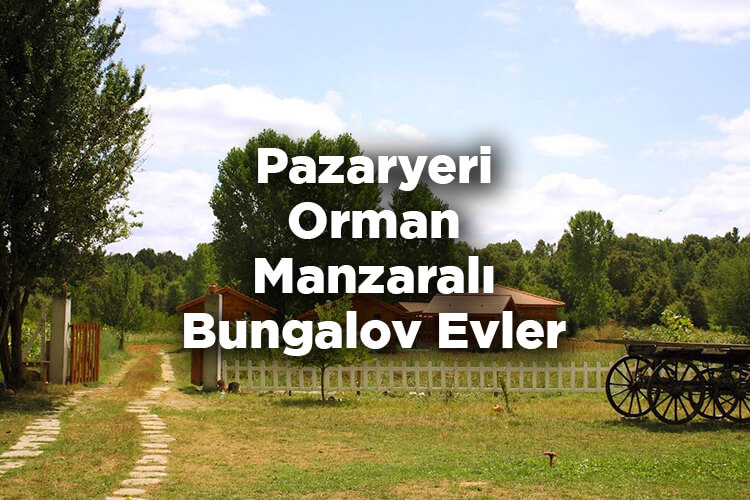 Pazaryeri Bungalov Evleri