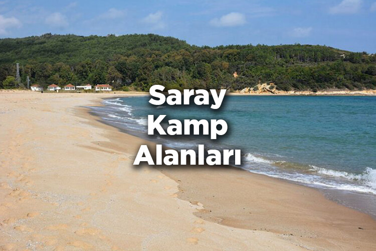 Saray Kamp Alanları