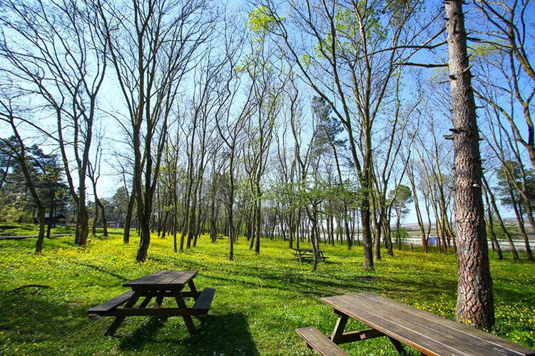Nebiyan Yaylası Kamp Alanı