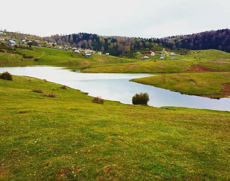 Sultanpınar Yaylası Kamp Alanı