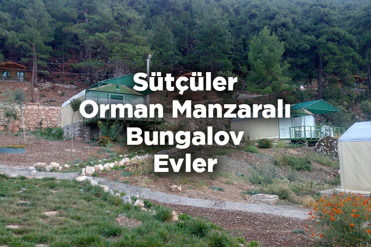 Sütçüler Bungalov Evleri - Sütçüler Orman Manzaralı Bungalov Evler