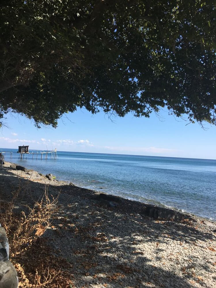 Uçmakdere Mocamp Çınar