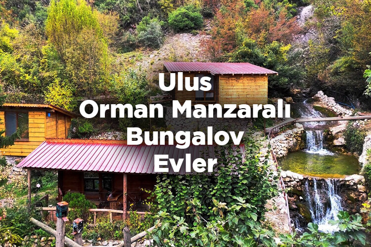 Ulus Bungalov Evleri - Ulus Orman Manzaralı Bungalov Evler
