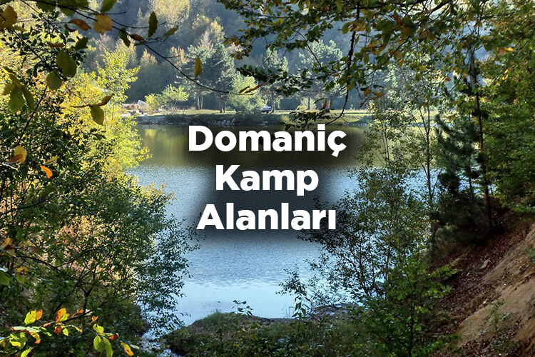 Domaniç Kamp Alanları