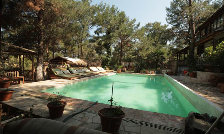 Kayserkaya Dağ Evleri