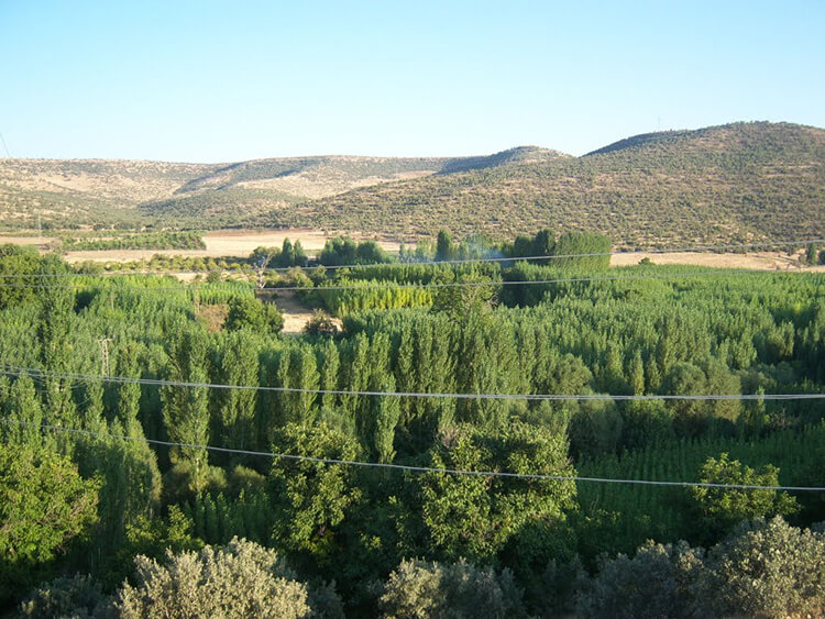 Sultanköyü Kamp Alanı