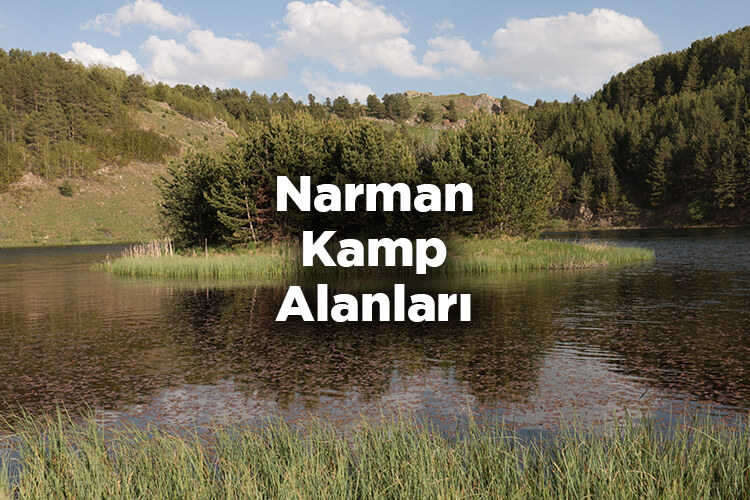 Narman Kamp Alanları