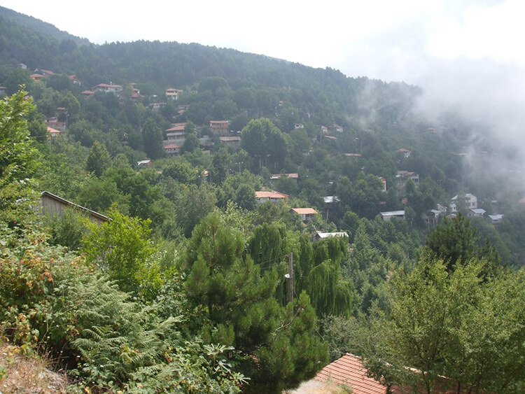 Topaktaş Yaylası Kamp Alanı