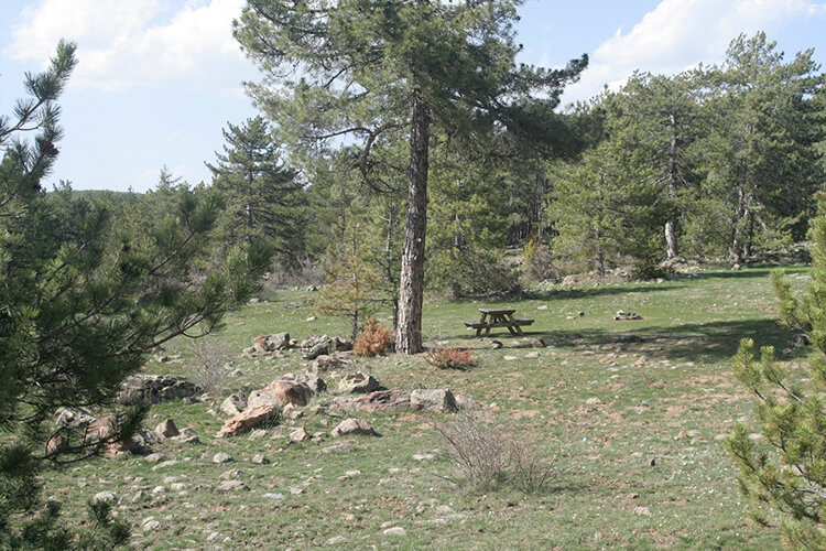 Aluçdağı Tabiat Parkı Nerede? - Aluçdağı Tabiat Parkı'na Nasıl Gidilir?