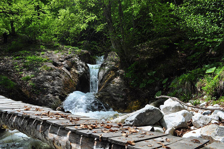 Cumalıkızık Köyü Kamp Alanı