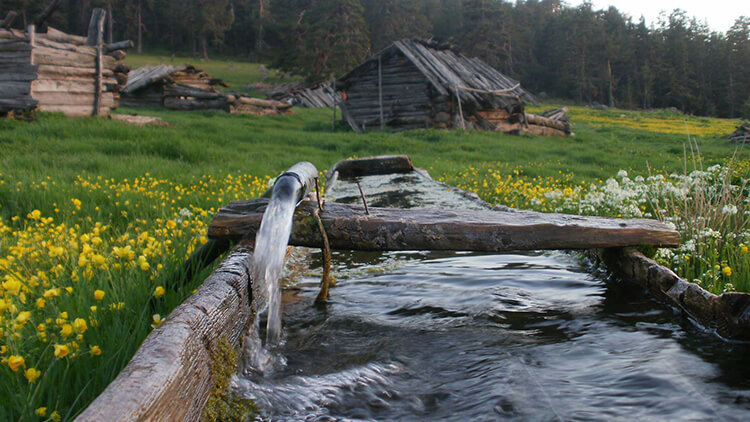 Haccağız Yaylası Kamp Alanı