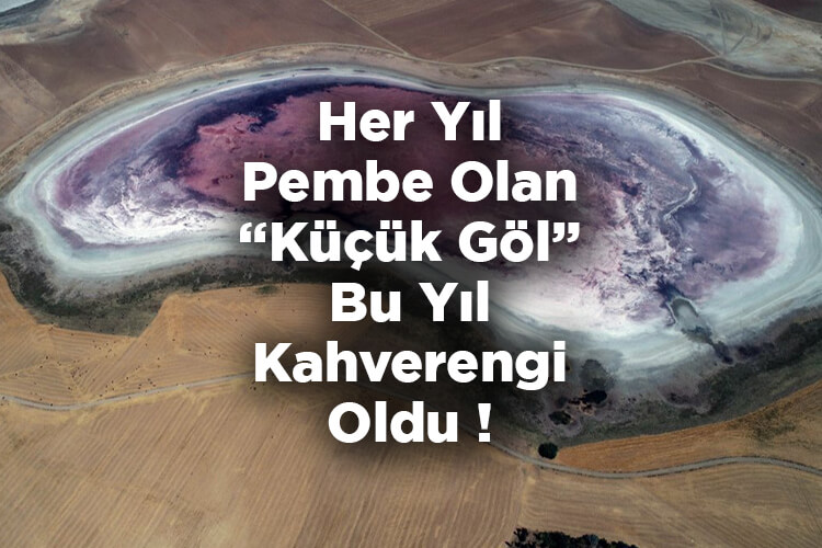 Her Yıl Pembe Olan Küçük Göl Bu Yıl Kahverengi Oldu!