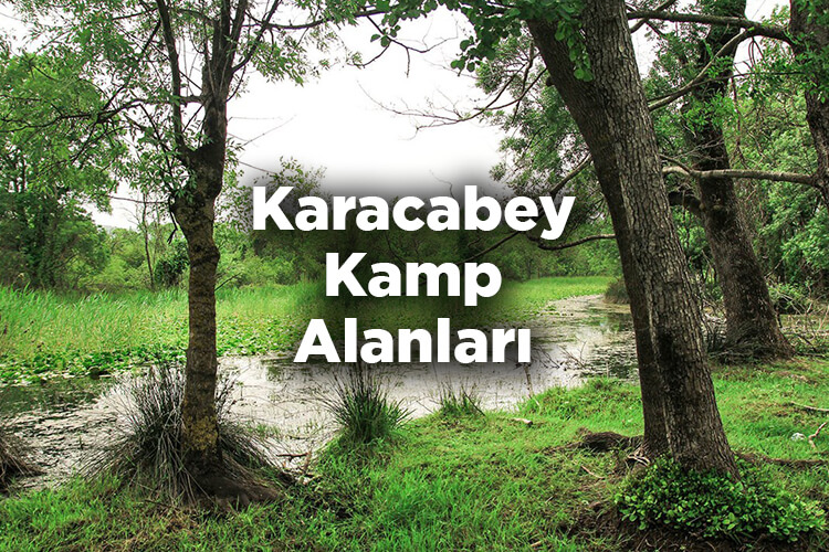 Karacabey Kamp Alanları