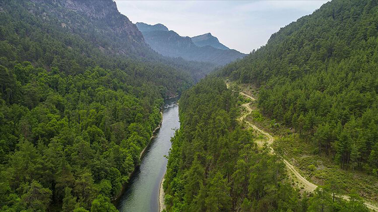Kargı Köyü Sığla Ormanı Tabiatı Koruma Alanı Kamp Alanı