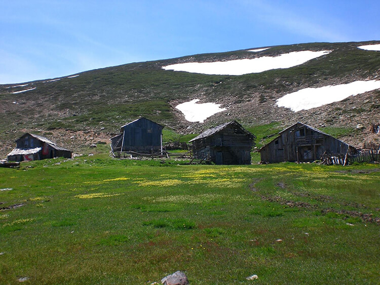 Kıranyayla Kamp Alanı - Kıran Kamp Alanı