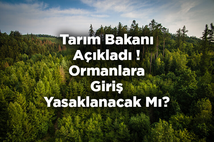Ormanlara Giriş Yasaklanacak Mı? Orman Bakanı Açıkladı!