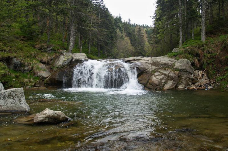 Softaboğan Şelalesi Kamp Alanı