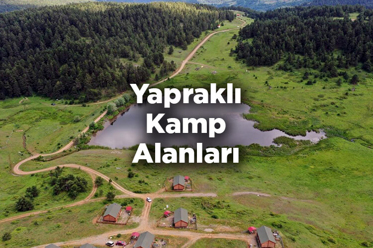 Yapraklı Kamp Alanları