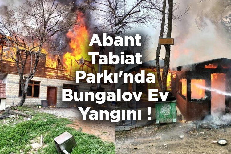 Abant Tabiat Parkı'nda Bungalov Ev Yangını! Küle Döndü!