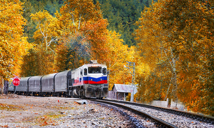 Belemedik Tabiat Parkı'na Giriş Ücretli Mi? - Belemedik Tabiat Parkı 2022 Giriş Ücretleri Ne Kadar?