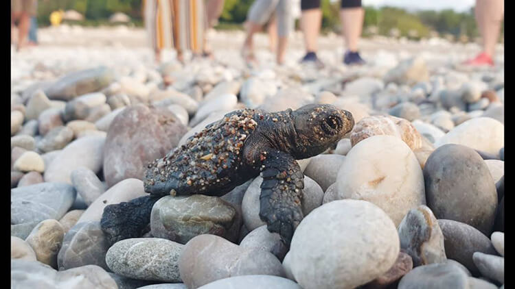 Gece Saatlerinde Kumsala Girişler Yasaklandı
