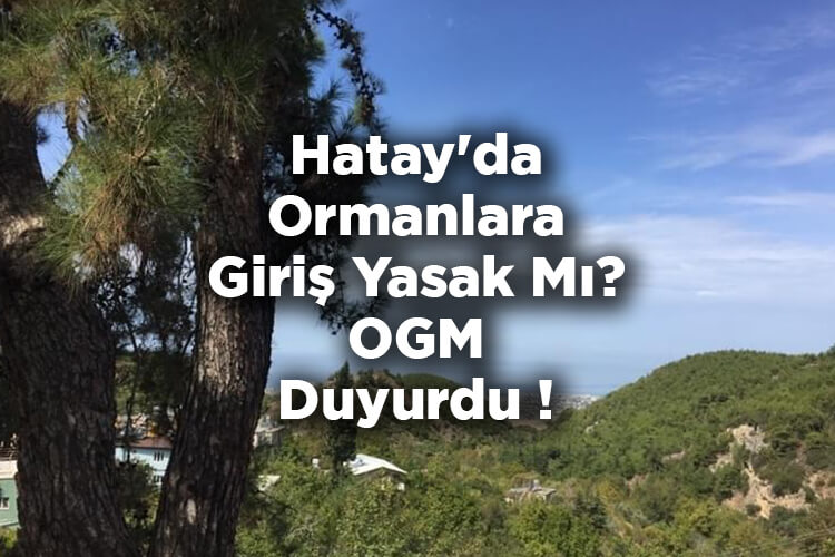 Hatay'da Ormanlara Giriş Yasak Mı? – OGM Duyurdu!