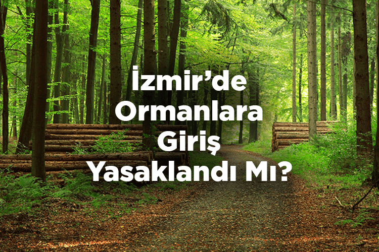 İzmir'de Ormanlara Giriş Yasak Mı? - İzmir Valisi Duyurdu!
