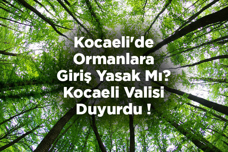 Kocaeli'de Ormanlara Giriş Yasak Mı? – Kocaeli Valisi Duyurdu!