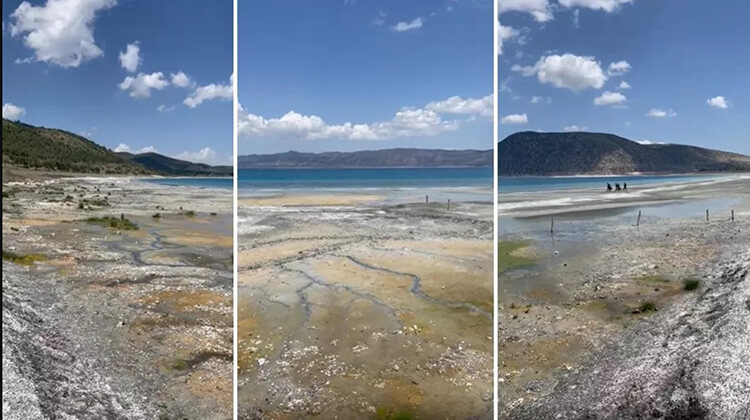 Özel Koruma Talep Ediliyor