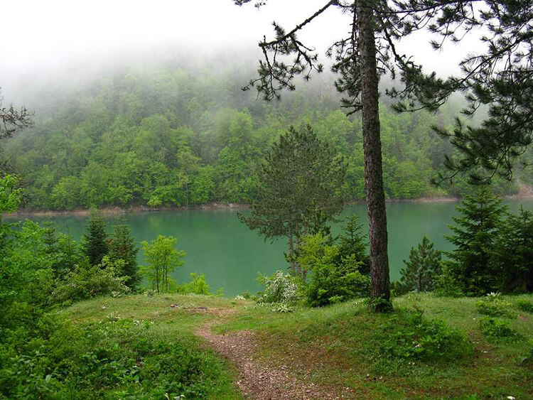 Sülüklü Göl Tabiat Parkı Kamp Alanı