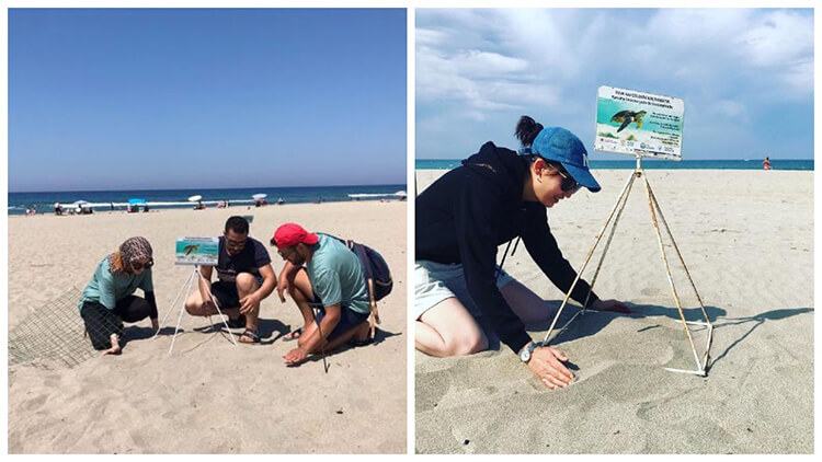 Yuva Ve Yavruların Korunması Çalışmaları Devam Ediyor