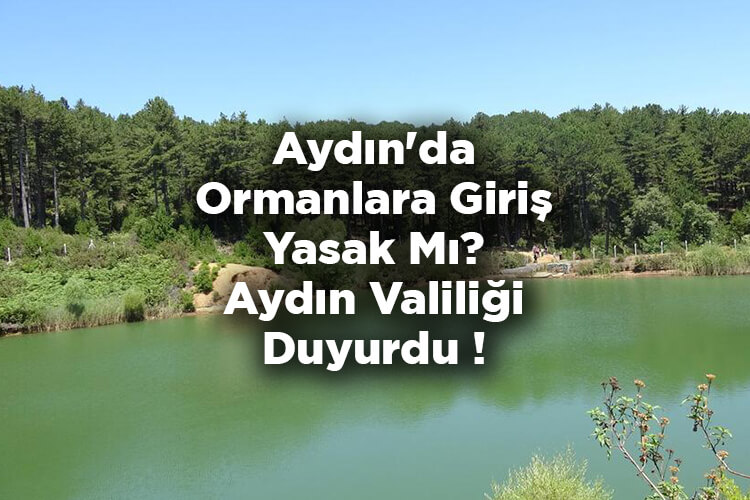Aydın'da Ormanlara Giriş Yasak Mı? - Aydın Valiliği Duyurdu!