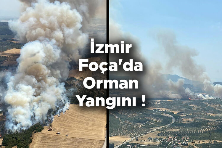 İzmir Foça'da Orman Yangını!