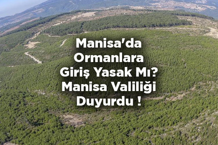 Manisa'da Ormanlara Giriş Yasak Mı? Manisa Valiliği Duyurdu!