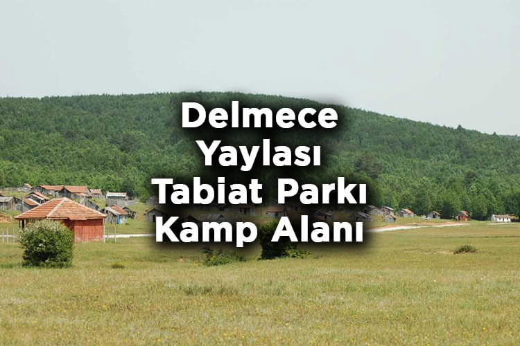 Delmece Yaylası Tabiat Parkı Kamp Alanı Nerede Ve Nasıl Gidilir?