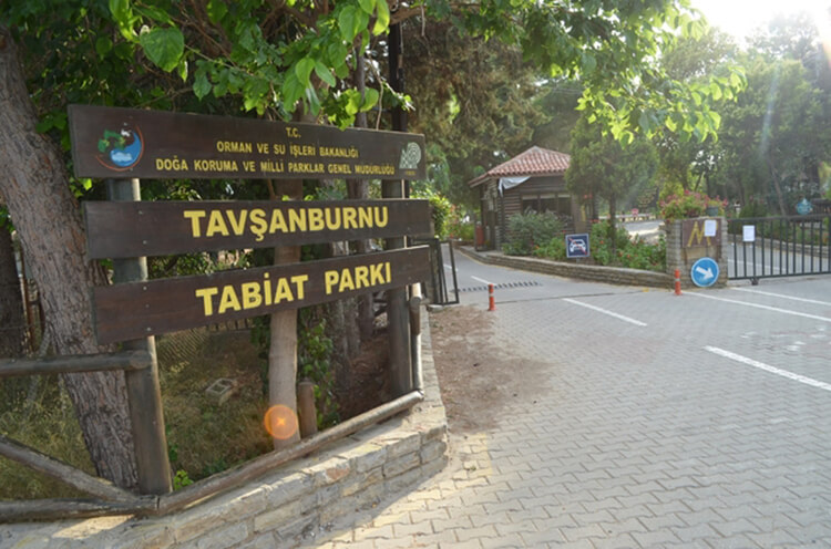 Didim Orman Kampı İmkanları Nelerdir? - Didim Orman Kampı'nda Hangi Hizmetler Var?