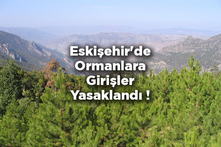 Eskişehir'de Ormanlara Girişler Yasaklandı 2022