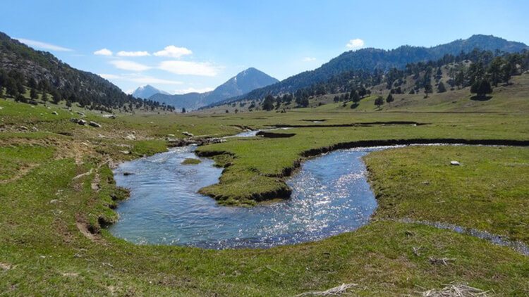 Isparta'da Ormanlara Girişler Yasaklandı