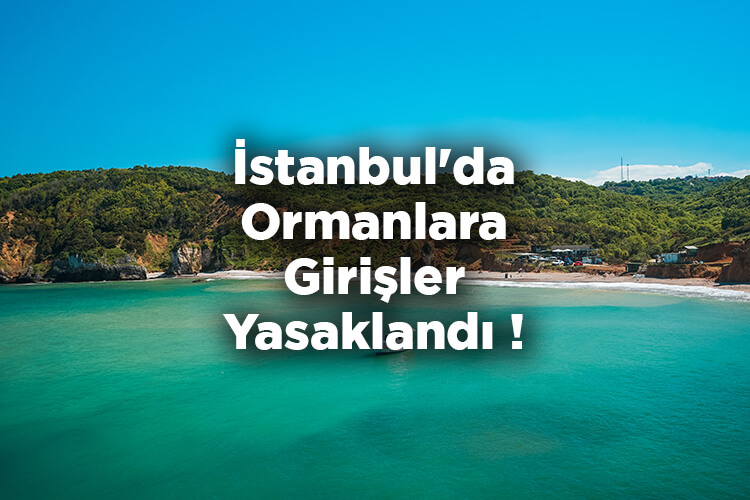 İstanbul'da Ormanlara Girişler Yasaklandı 2022