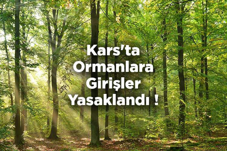 Kars'ta Ormanlara Girişler Yasaklandı 2022