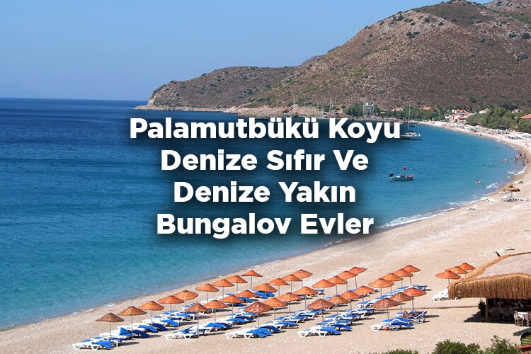 Palamutbükü Koyu Bungalov Evleri - Palamutbükü Koyu Denize Sıfır Ve Denize Yakın Bungalov Evler