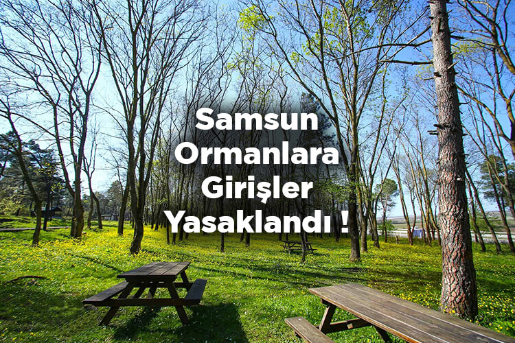 Samsun'da Ormanlara Girişler Yasaklandı 2022