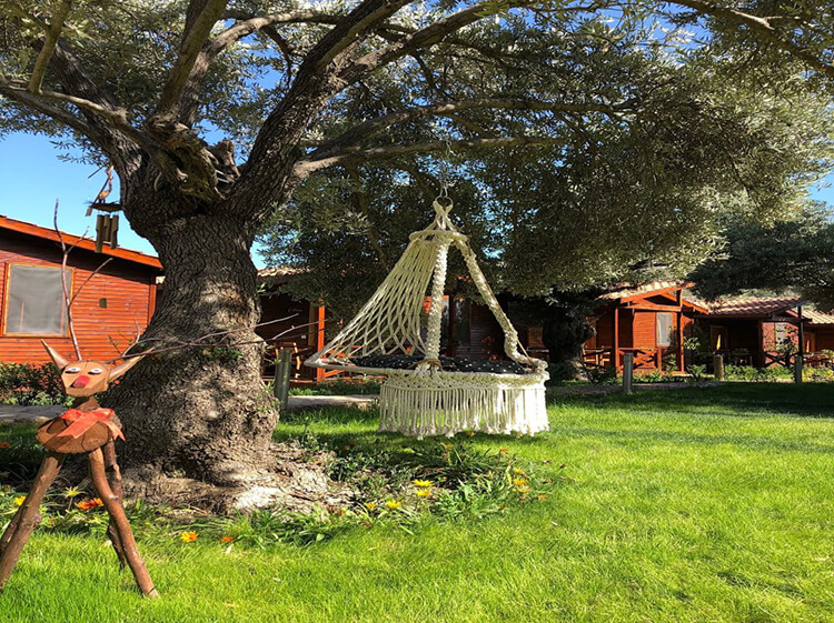 Suzi'nin Bahçesi Ahşap Evler