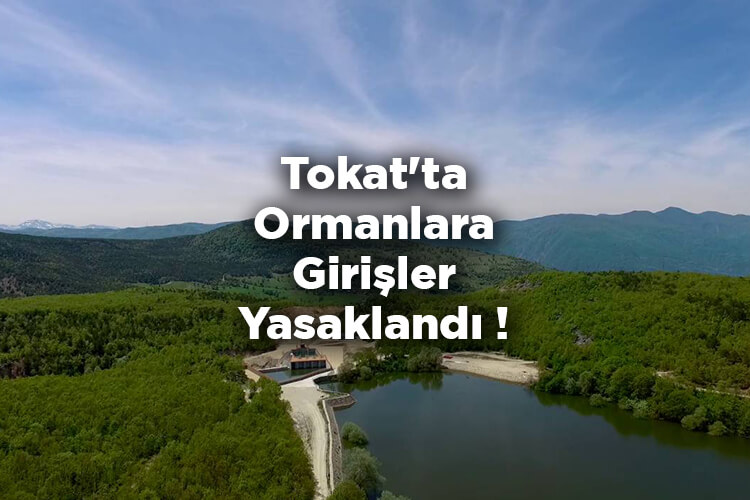 Tokat'ta Ormanlara Girişler Yasaklandı 2022
