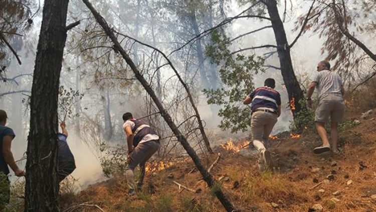 Yangın Bölgesi Zorlu Coğrafya
