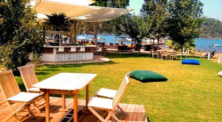 Olive Tree Bungalows